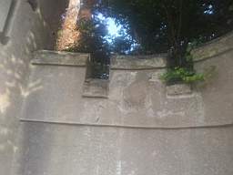 castlepark gate - 10430.jpg